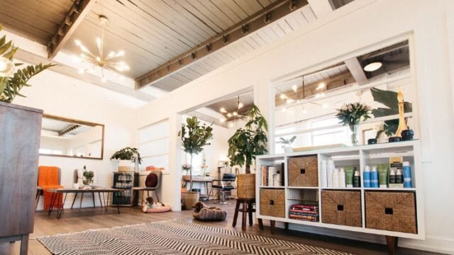 Spruce Sodo