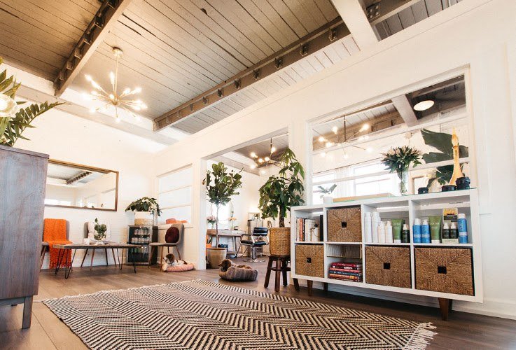 Spruce Sodo