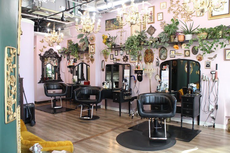 Starling Salon Collective