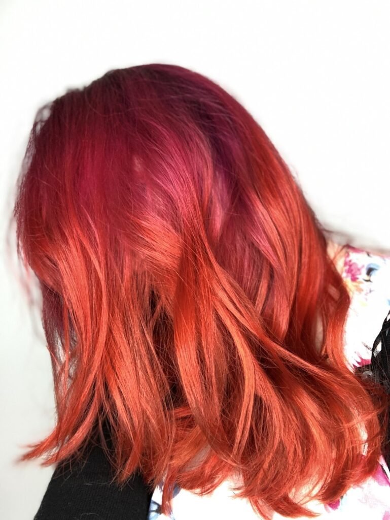 The Fox Guild