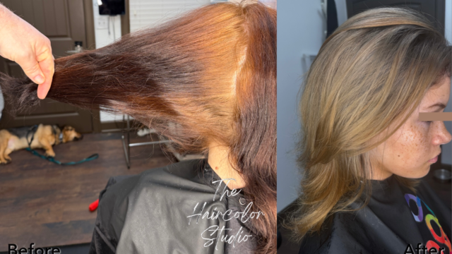 The Haircolor Studio