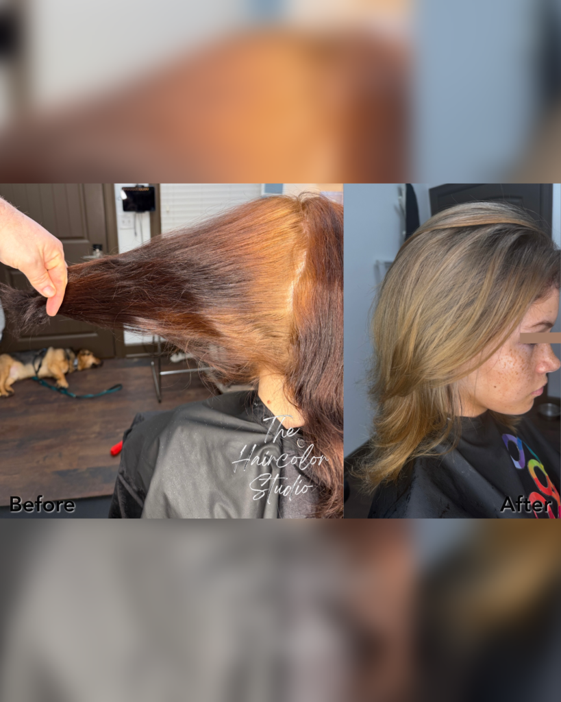 The Haircolor Studio