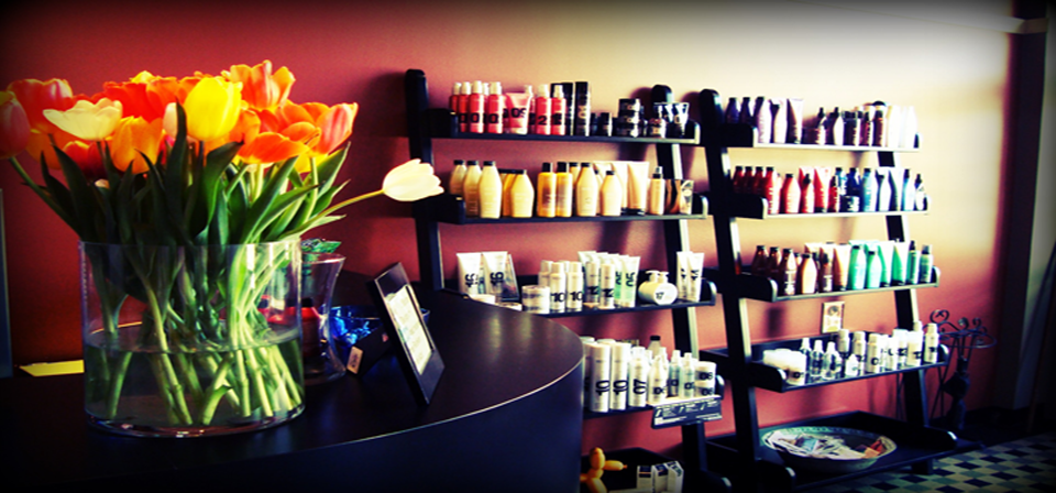 13 Boston Hair Design