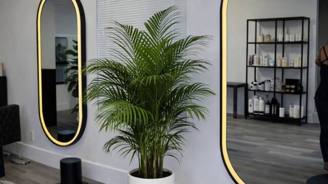 Aponchuk Beauty Space LLC