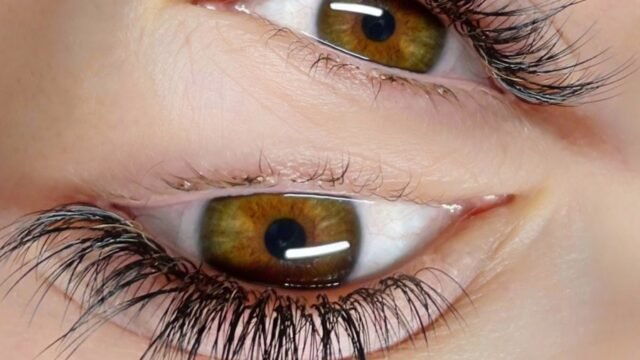 Natural Lashes