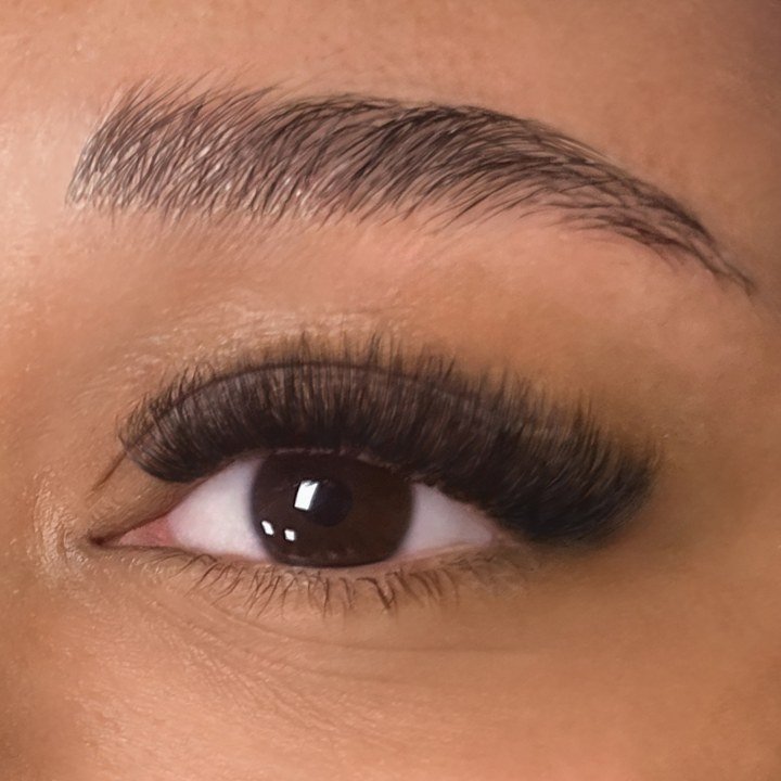 The Lash Lounge